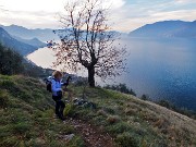 11 Bellissima quercia, salendo ne incontreremo tante